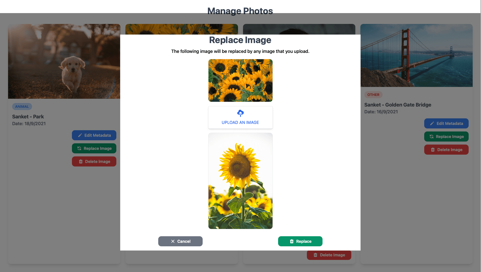 Replace Image